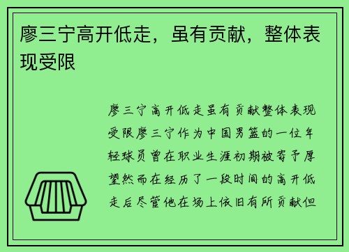 廖三宁高开低走，虽有贡献，整体表现受限